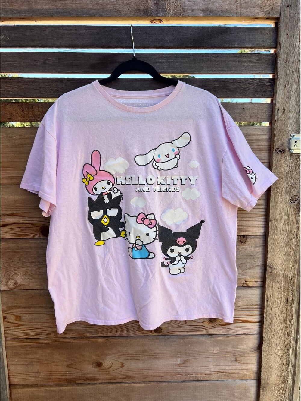 Sanrio Hello Kitty and Friends Pink Graphic T-Shirt XL